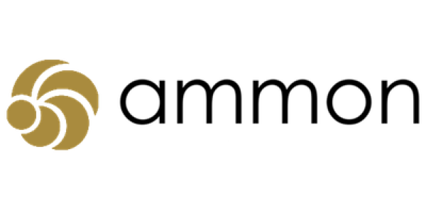 Ammon Consulting (Myanmar) Co., Ltd logo